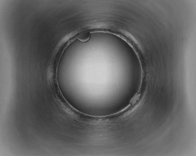 X0000113120922200909041303