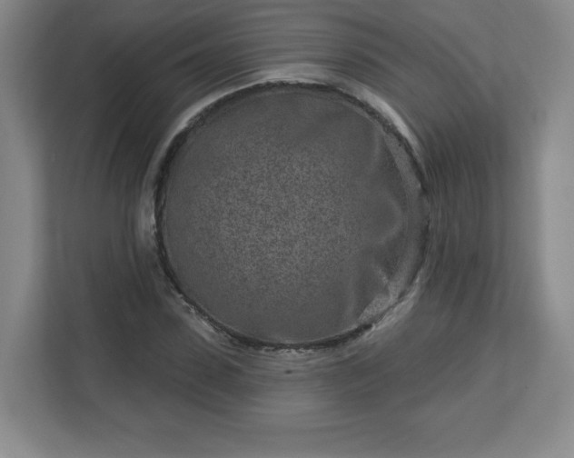 X0000113120923200909041303