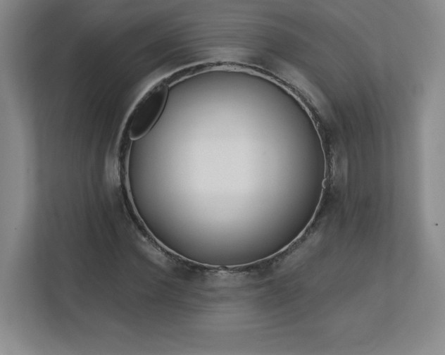 X0000113120924200909041303