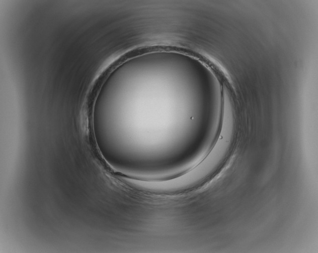 X0000113120925200909041303