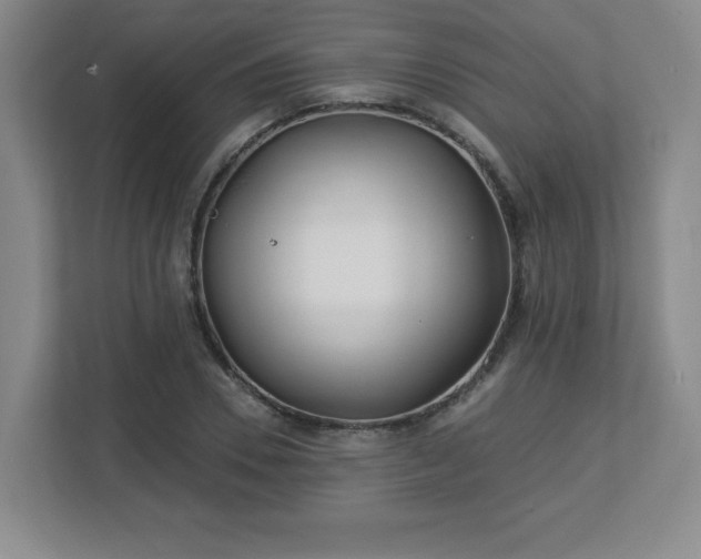 X0000113120930200909041303