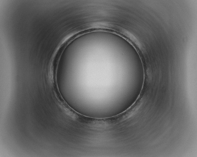 X0000113120931200909041303