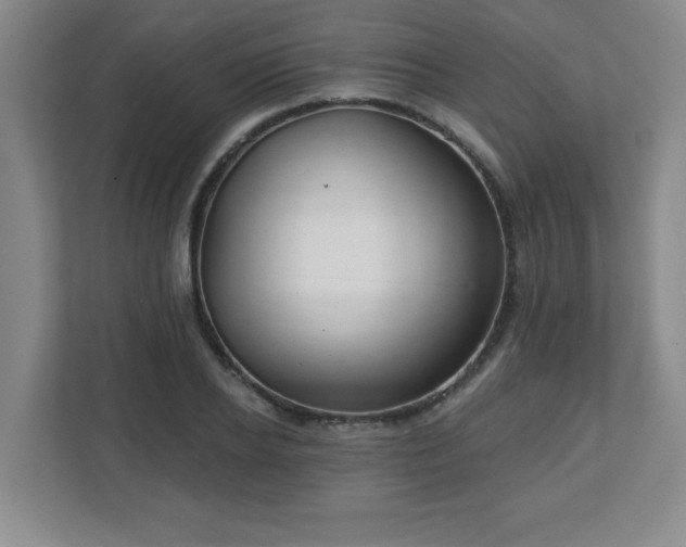 X0000113120934200909041303