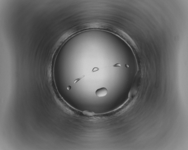 X0000113120938200909041303