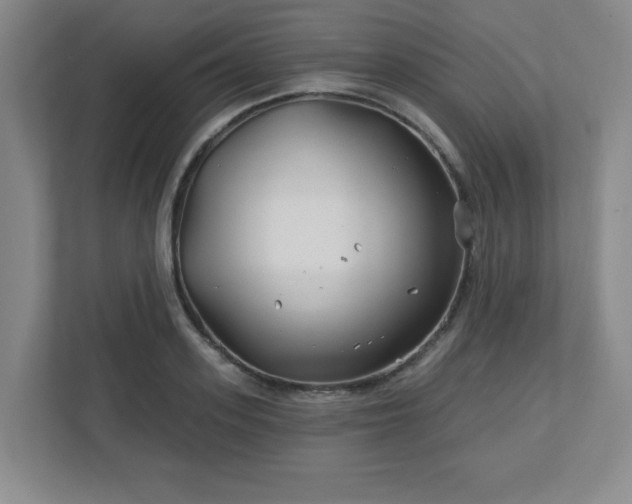 X0000113120939200909041303