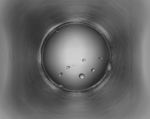 X0000113120940200909041303