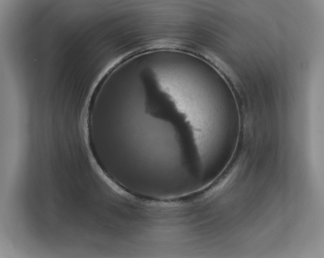 X0000113120941200909041303