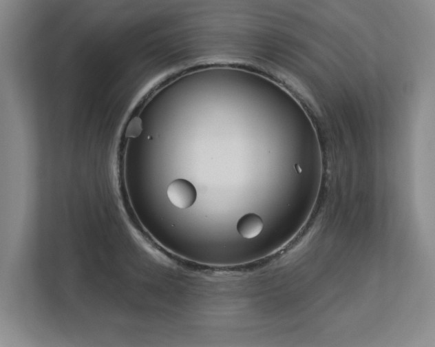 X0000113120942200909041303