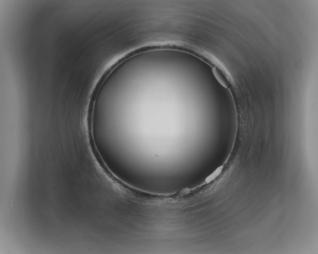 X0000113120943200909041303