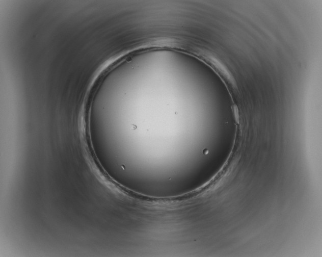 X0000113120944200909041303