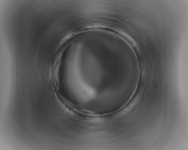 X0000113120945200909041303