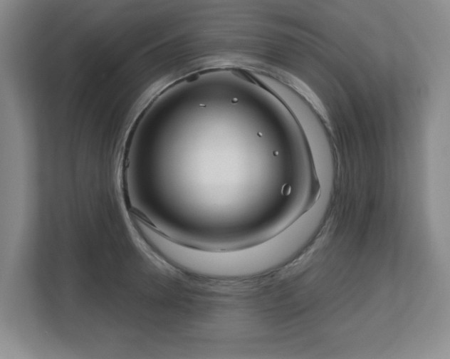 X0000113120946200909041303