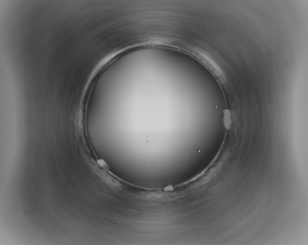 X0000113120948200909041303