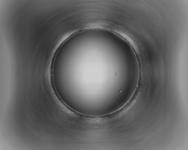 X0000113120949200909041303