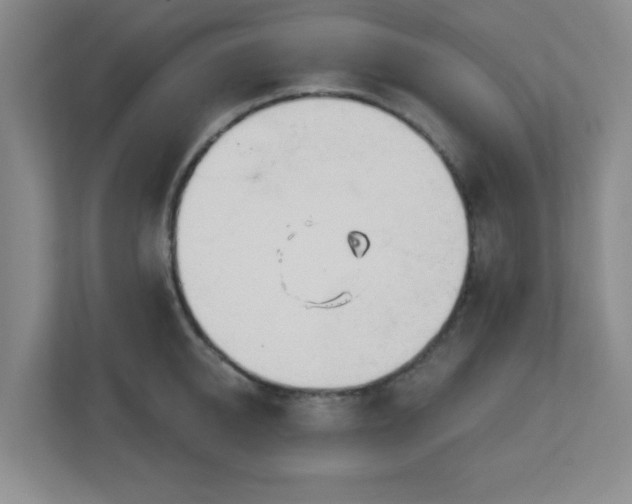 X0000113120950200909041303