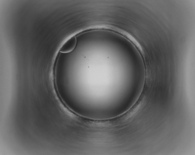 X0000113120951200909041303