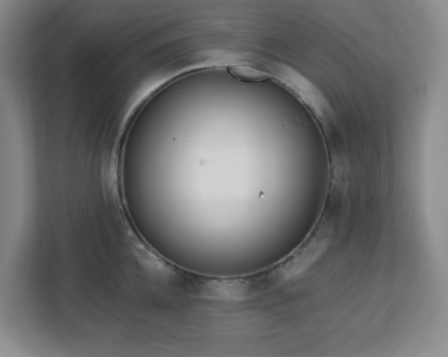 X0000113120952200909041303