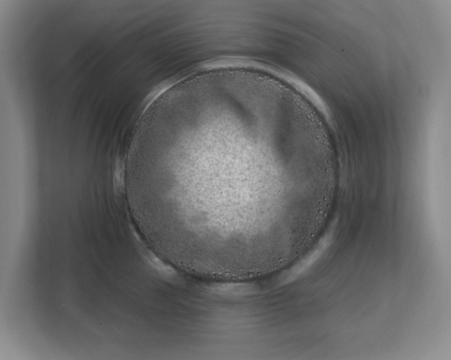 X0000113120953200909041303