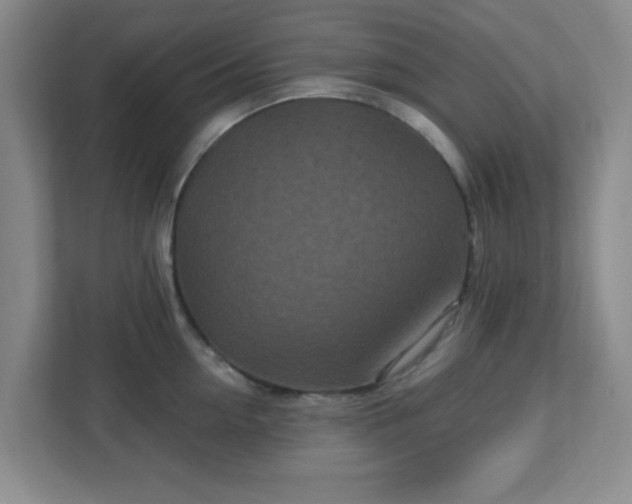 X0000113120954200909041303