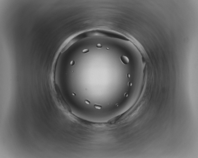 X0000113120956200909041303