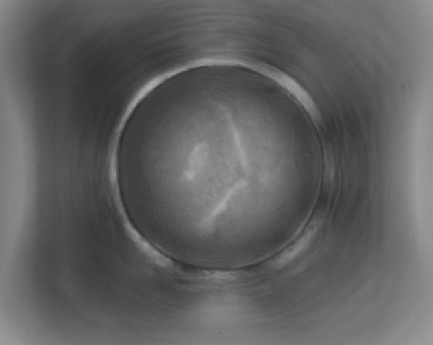 X0000113120958200909041303