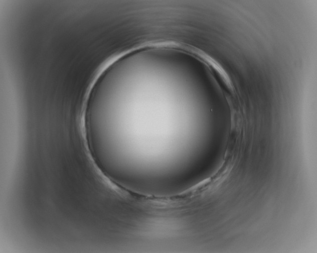 X0000113120959200909041303