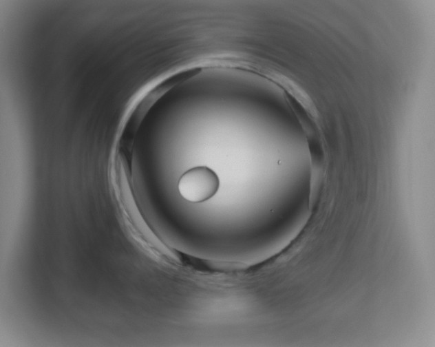 X0000113120960200909041303