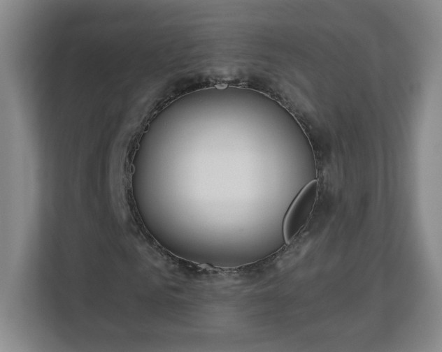 X0000113120961200909041303