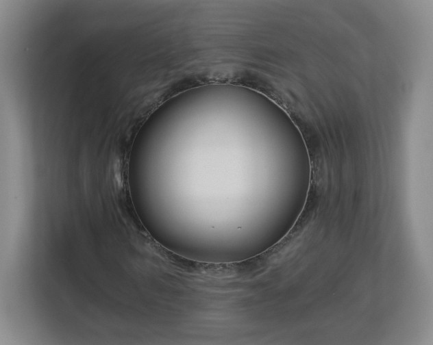 X0000113120962200909041303