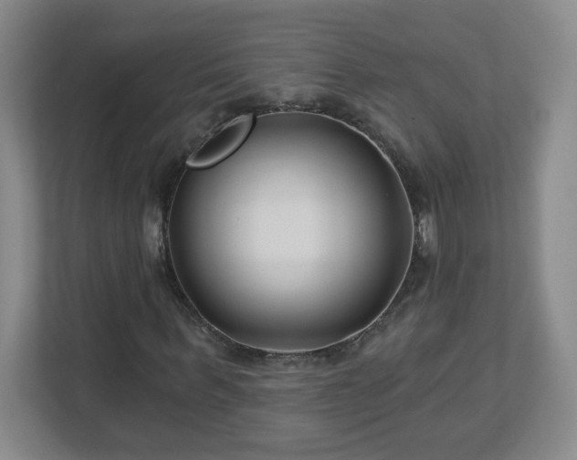 X0000113120963200909041303