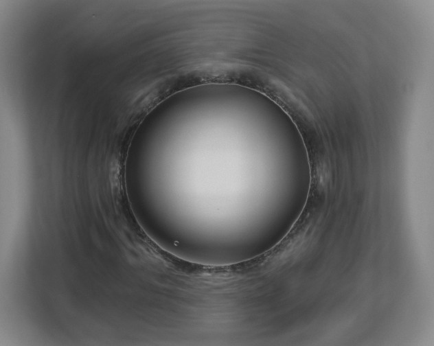 X0000113120964200909041303