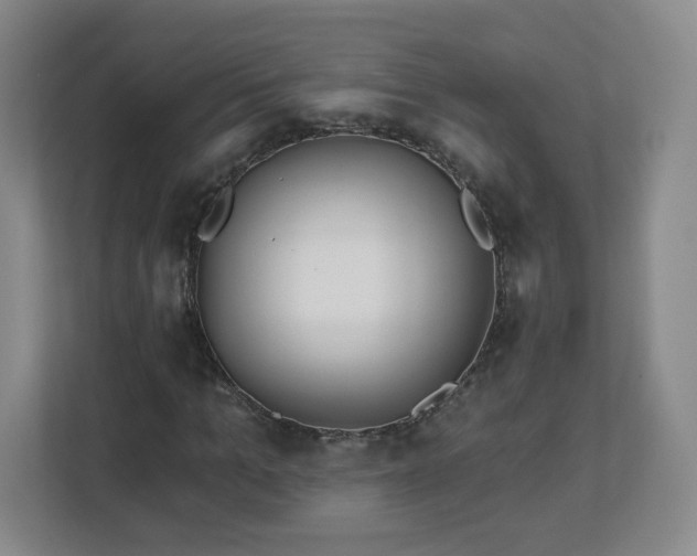 X0000113120965200909041303