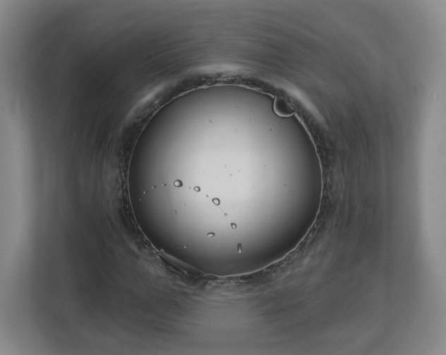 X0000113120967200909041303