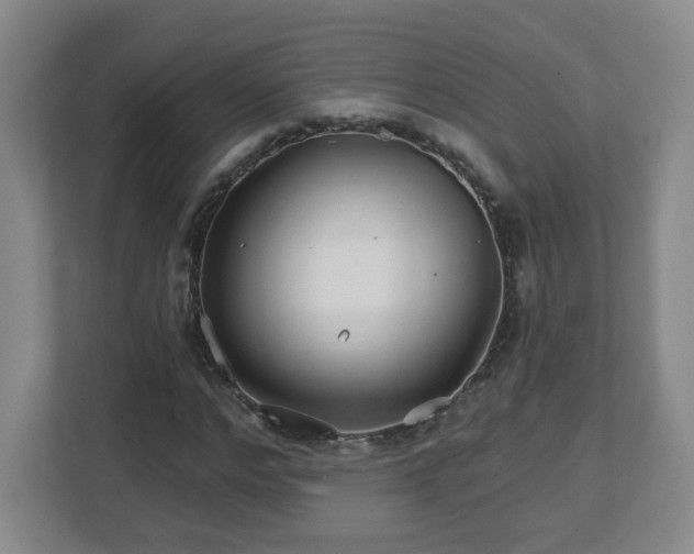 X0000113120968200909041303