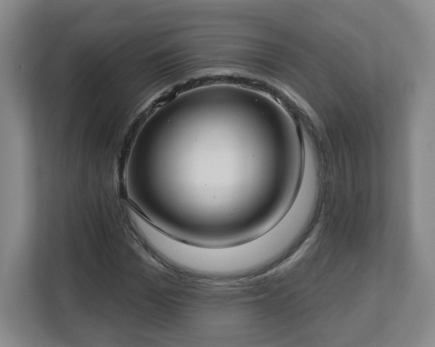 X0000113120969200909041303