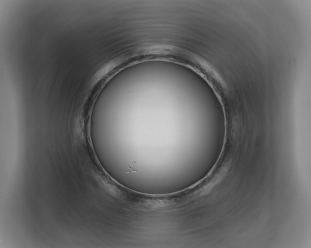 X0000113120970200909041303