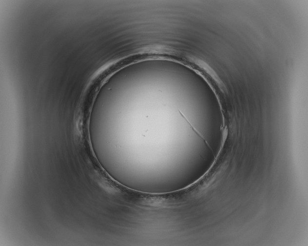 X0000113120971200909041303