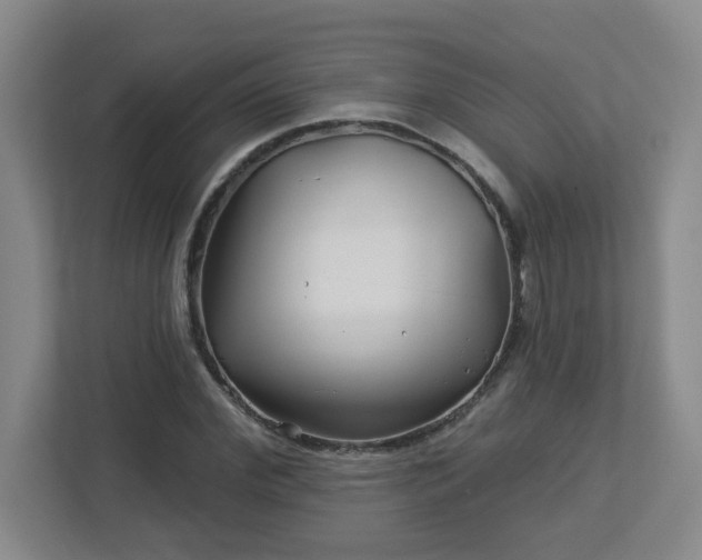 X0000113120972200909041302