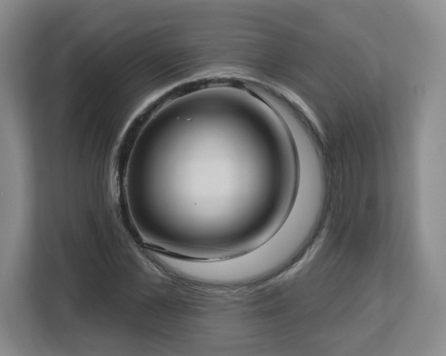 X0000113120973200909041302