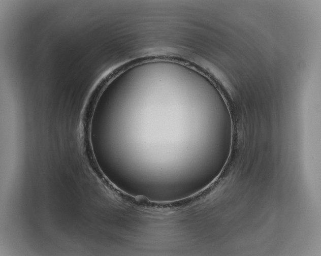 X0000113120975200909041302