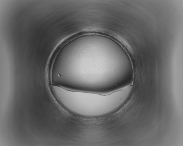 X0000113120976200909041302