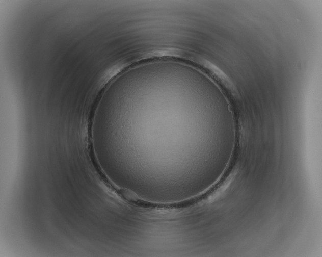 X0000113120977200909041302