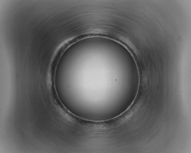 X0000113120979200909041302