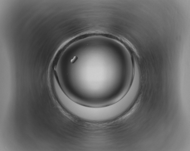 X0000113120981200909041302