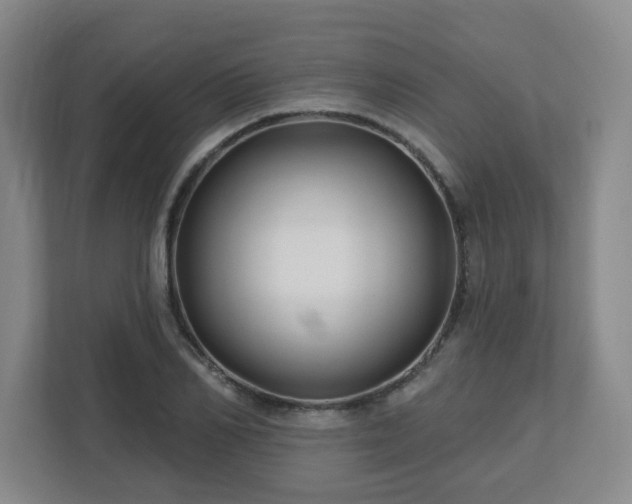 X0000113120982200909041302