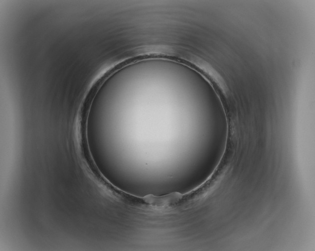 X0000113120983200909041302