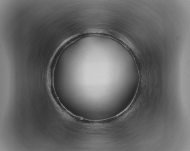 X0000113120984200909041302