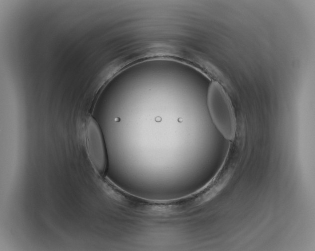 X0000113120985200909041302