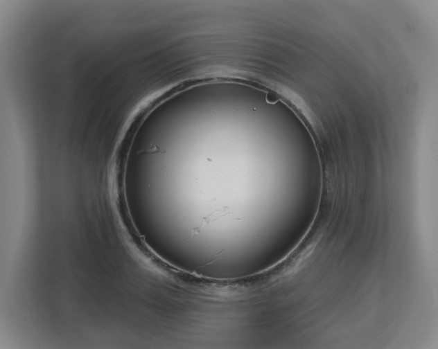 X0000113120987200909041302