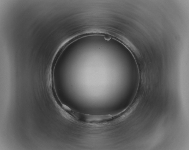 X0000113120988200909041302